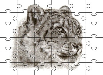 Puzzle "PANTHERA"